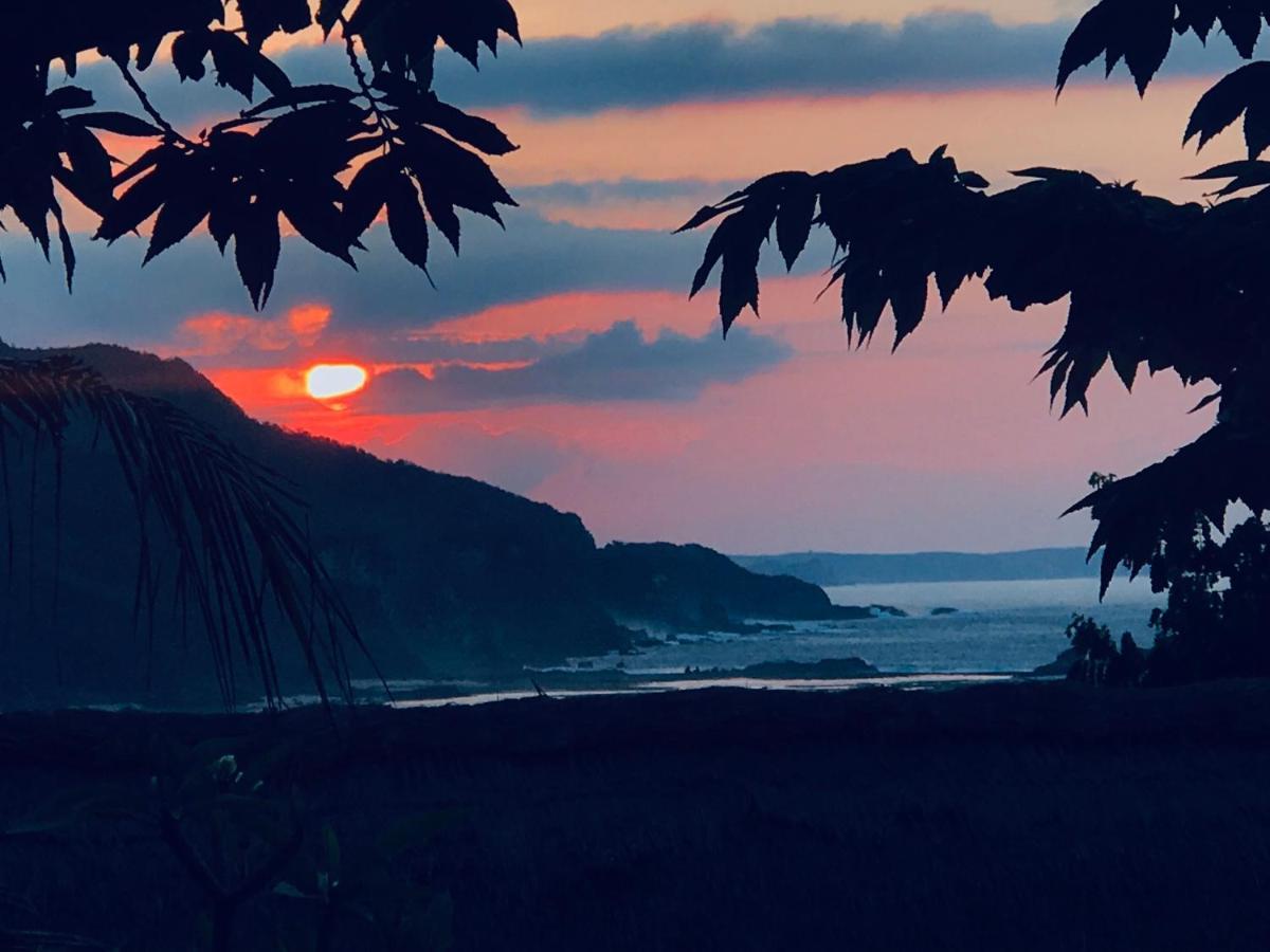 Blue Monkey Retreat Areguling Lombok酒店 外观 照片
