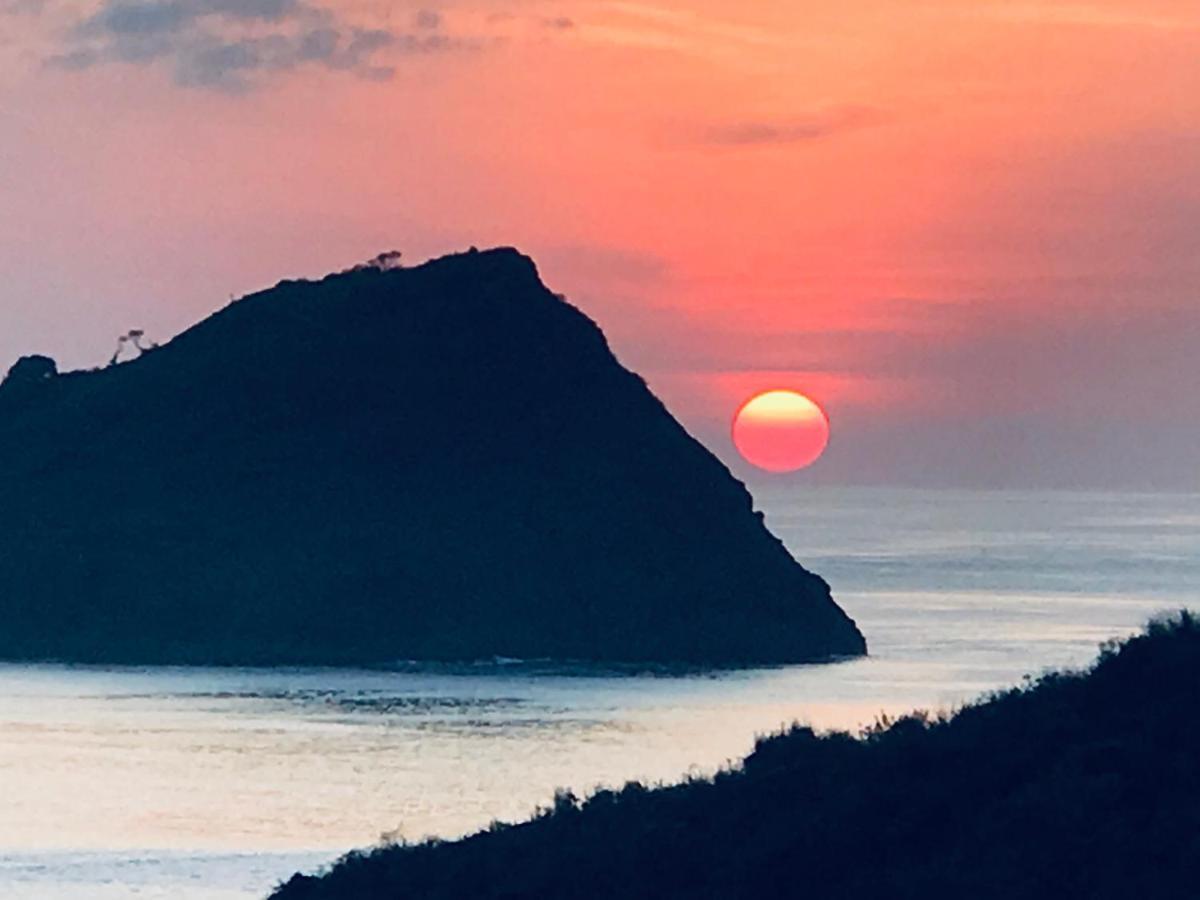 Blue Monkey Retreat Areguling Lombok酒店 外观 照片