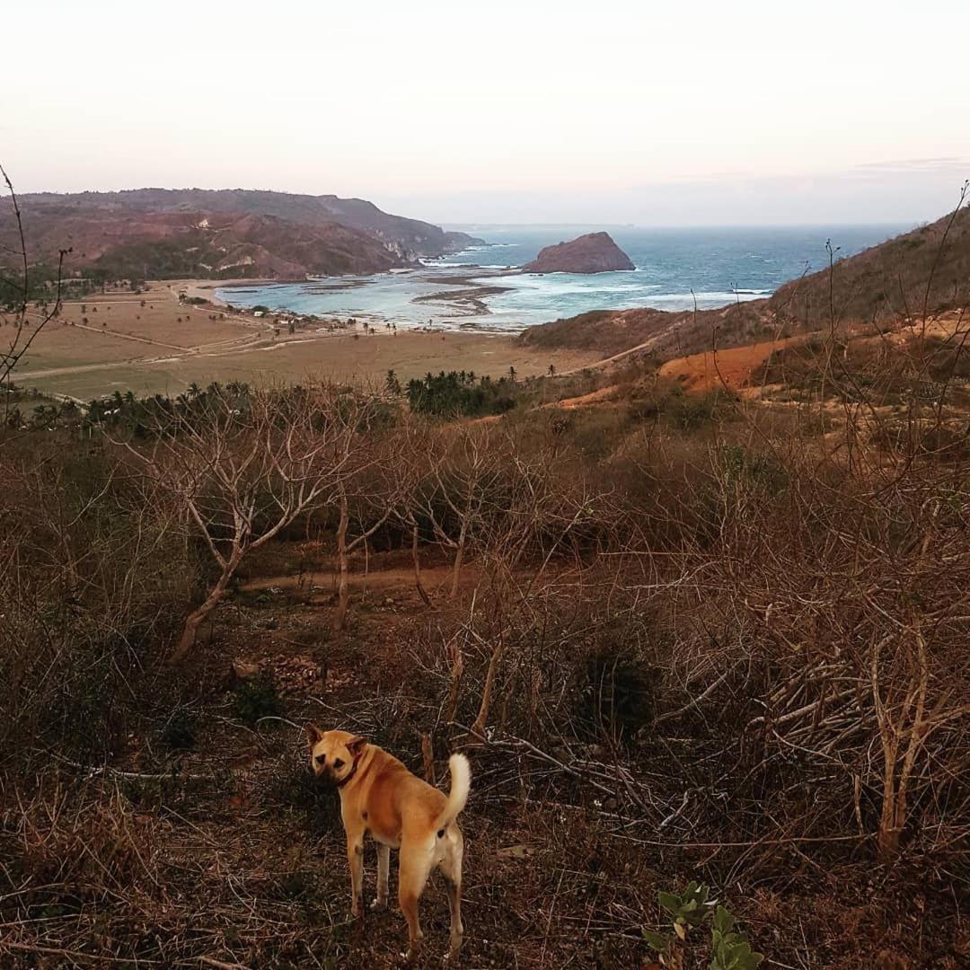 Blue Monkey Retreat Areguling Lombok酒店 外观 照片