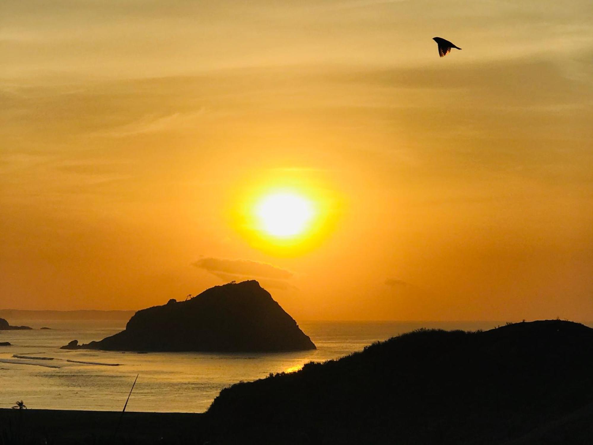 Blue Monkey Retreat Areguling Lombok酒店 外观 照片